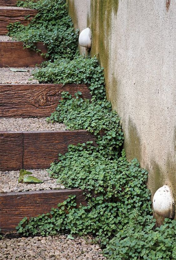 Modelos de Escadas Decoradas com Plantas 