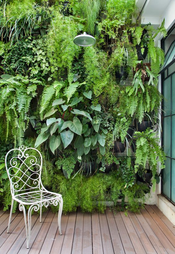 muros decorados com plantas