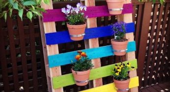 Decoração de Quintal com Reciclagem: Fotos