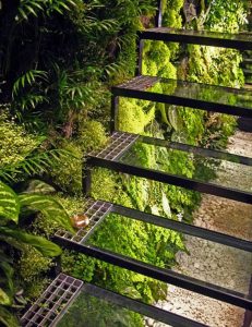 Decoração de Escadas com Plantas