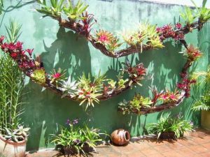 Muros Decorados com Plantas