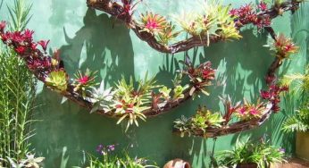 60 Fotos de Muros Decorados com Plantas