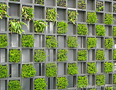  como decorar muro