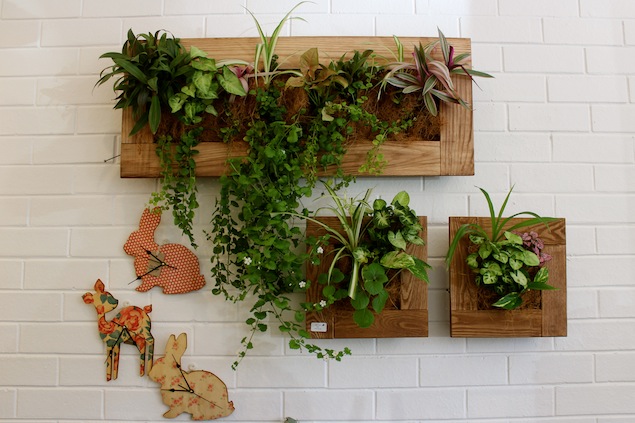  decoração no muro