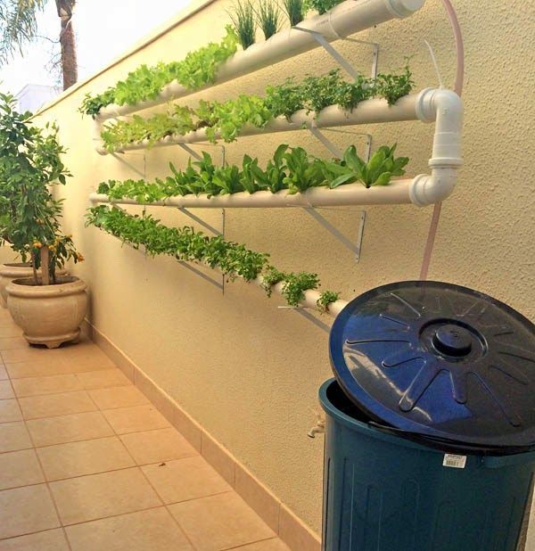 muros residenciais decorados