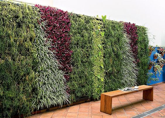  como decorar muro de quintal