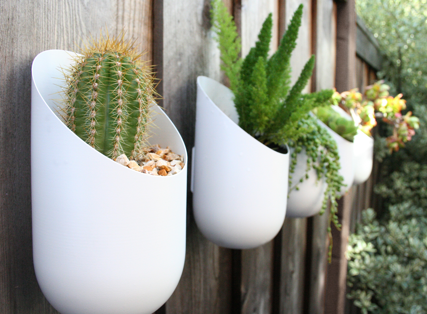  decorar muro com plantas