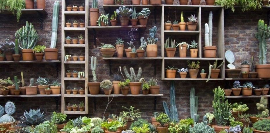  decoração de muros e fachadas