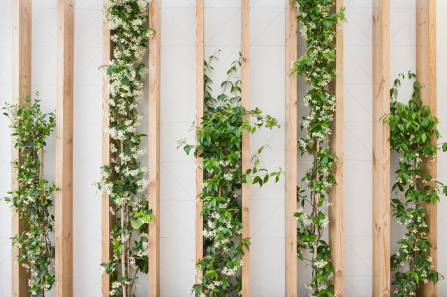  muros decorados com plantas fotos