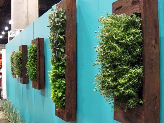  decoração de plantas na parede