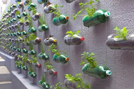decorar muro do quintal