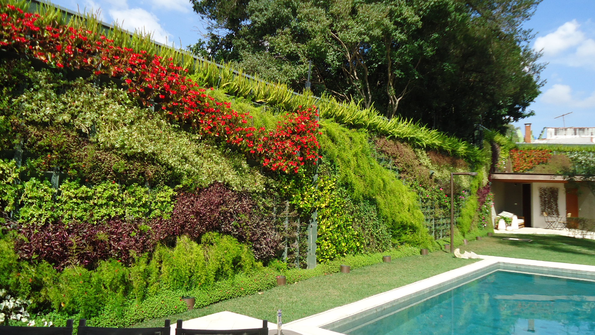  casas com muros decorados