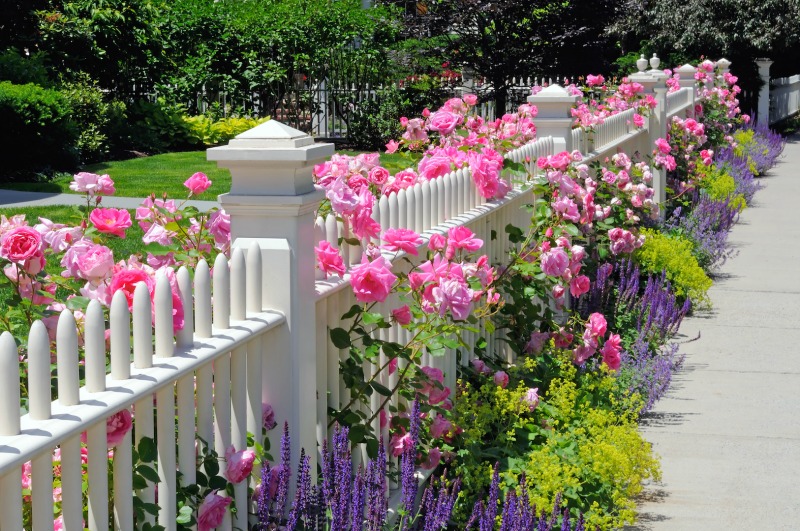  muros decorados com paletes