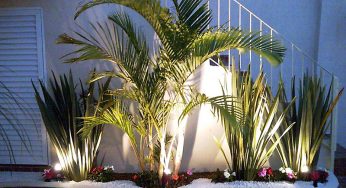 Iluminação de Jardim: Tipos e Inspirações para fazer
