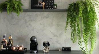 Plantas para Apartamento: tipos, ideias para decorar
