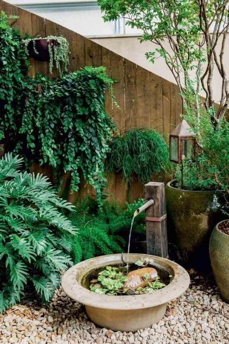 Jardim com plantas