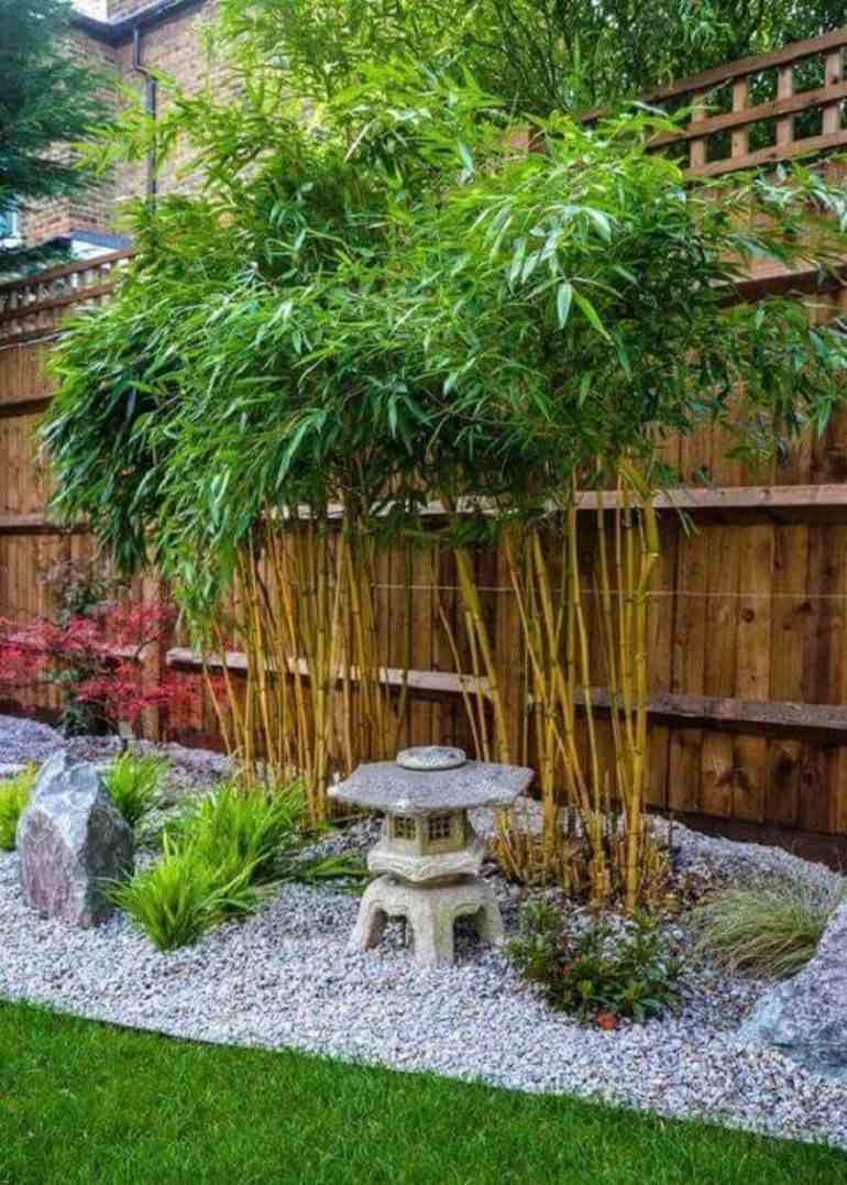 Jardim com bambu